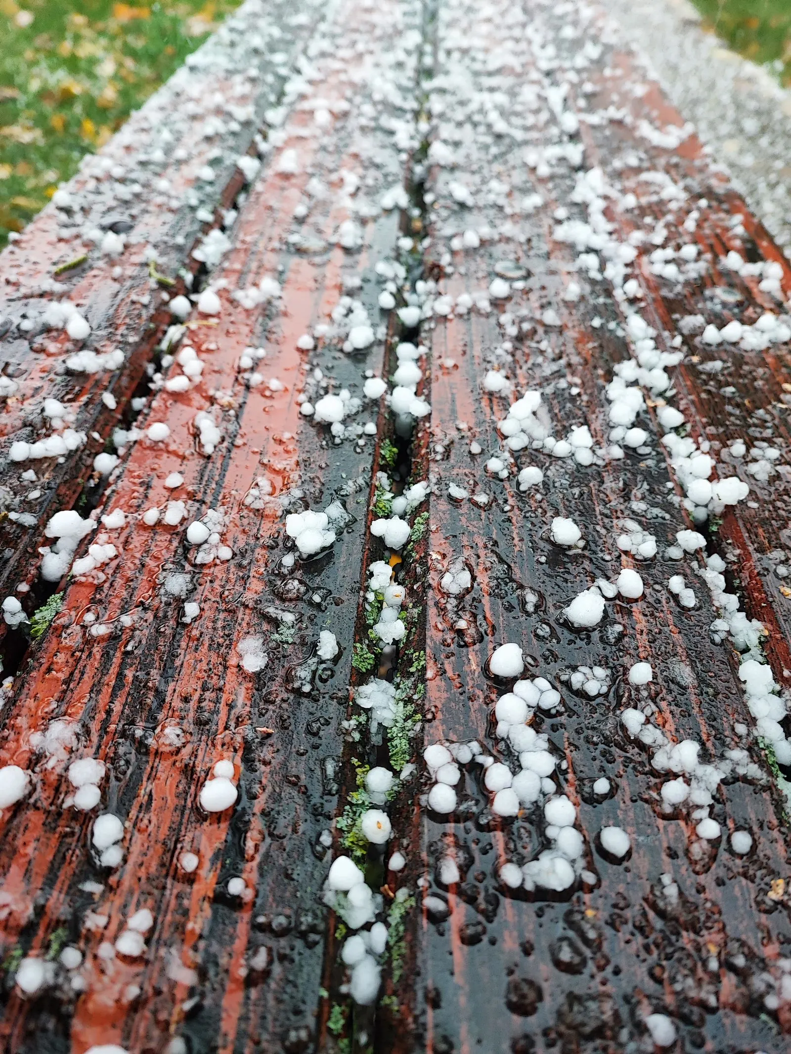 Hailstones on the ground after a Calgary storm